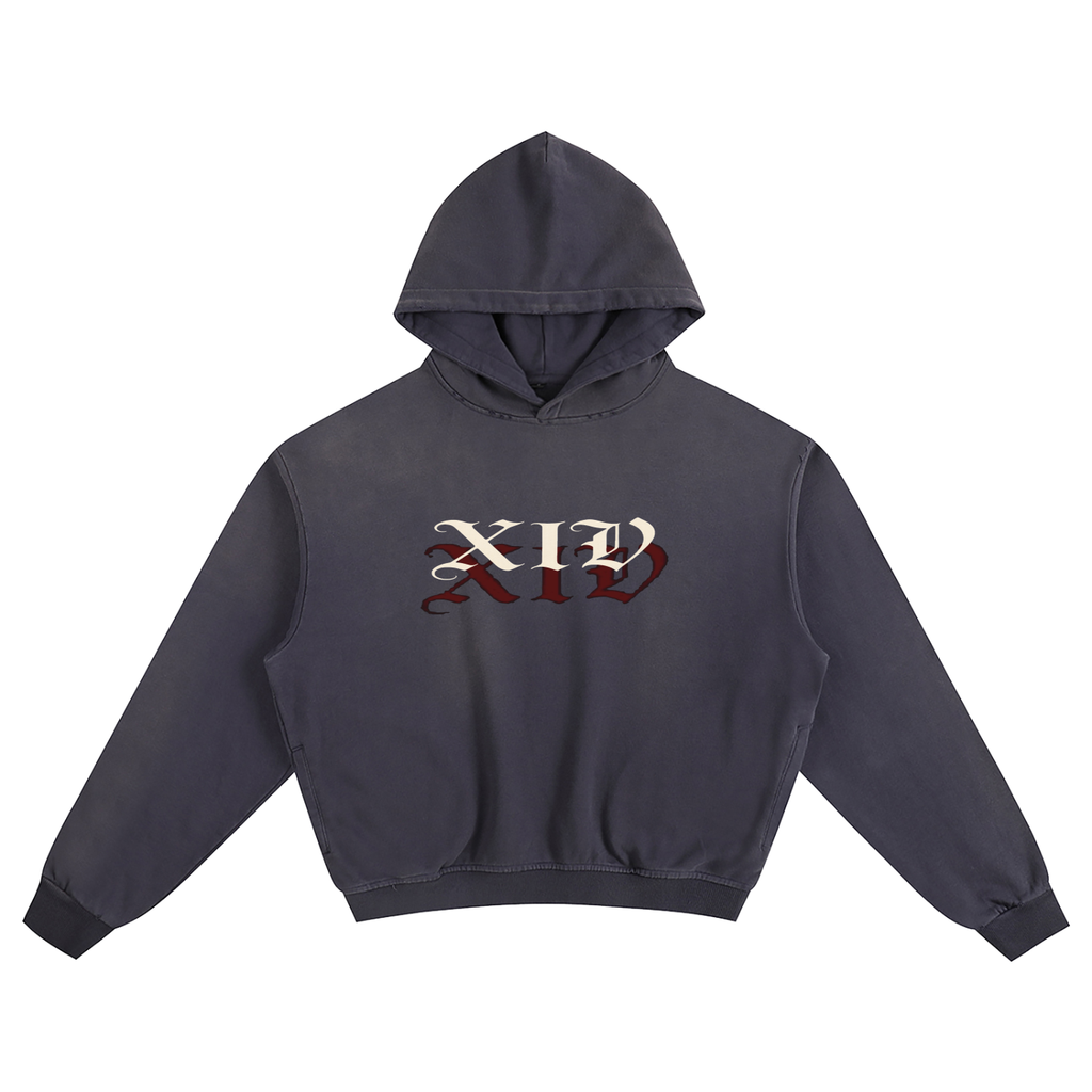 Xiv 1:1 hoodie