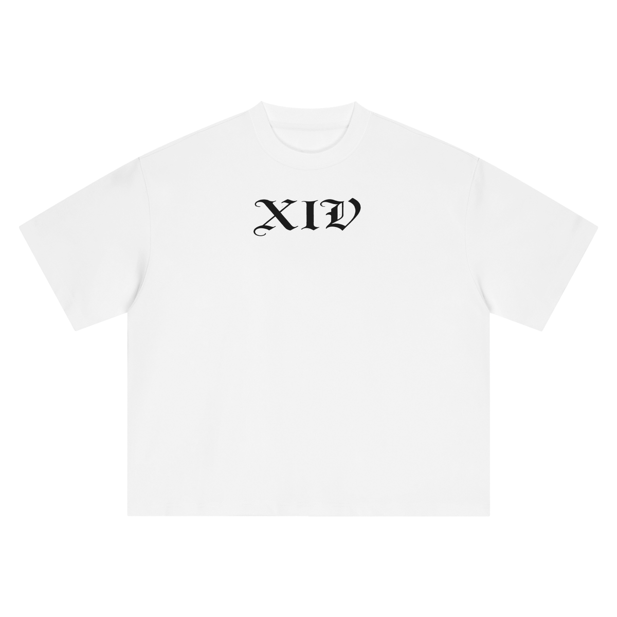 Xiv Oversized T-Shirt