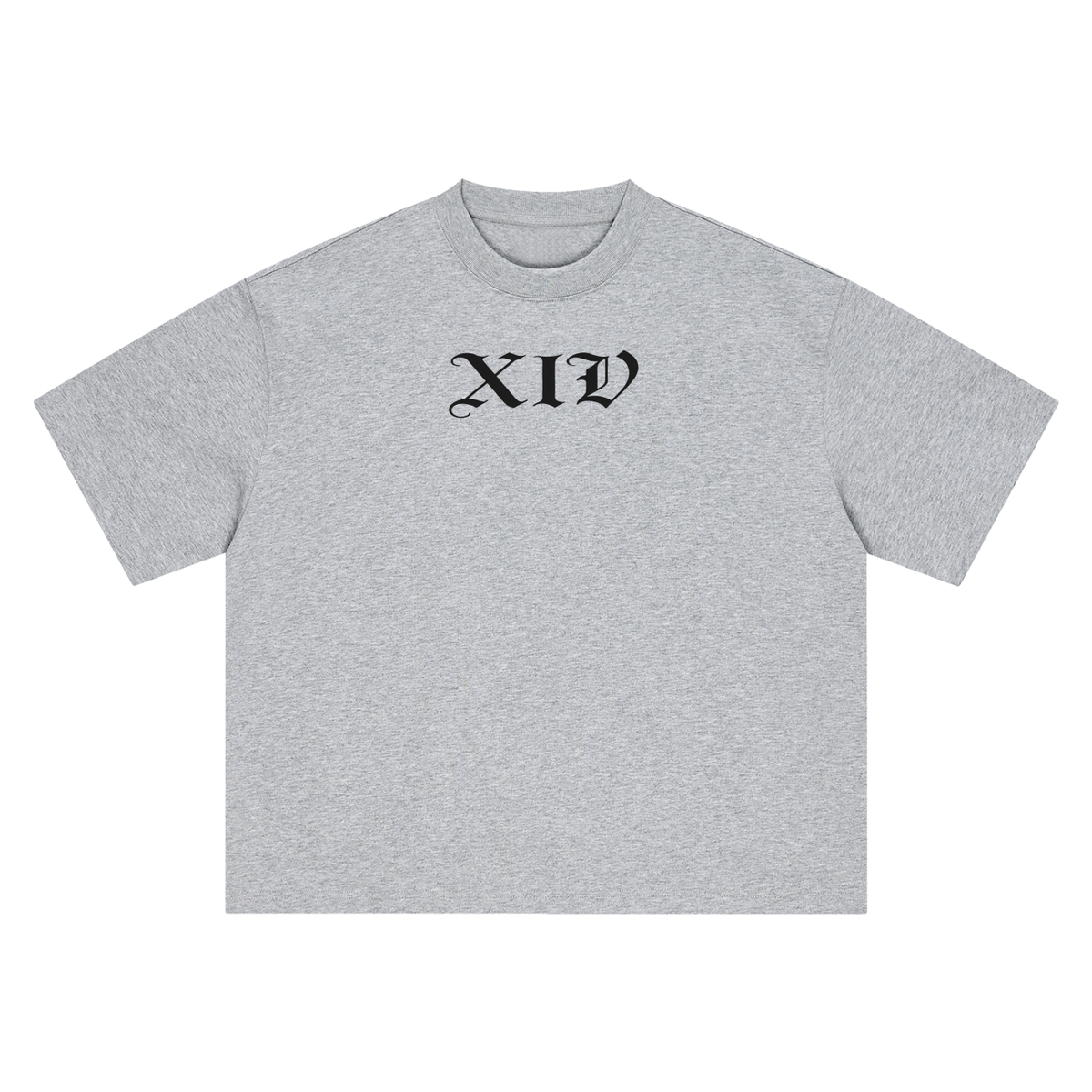 Xiv Oversized T-Shirt
