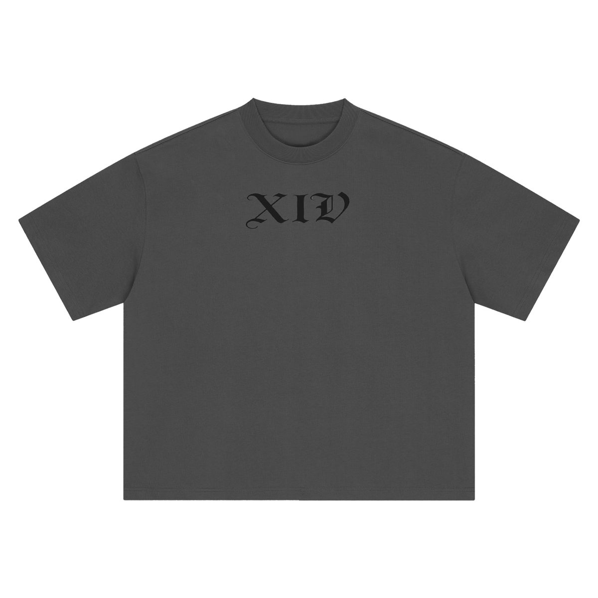 Xiv Oversized T-Shirt