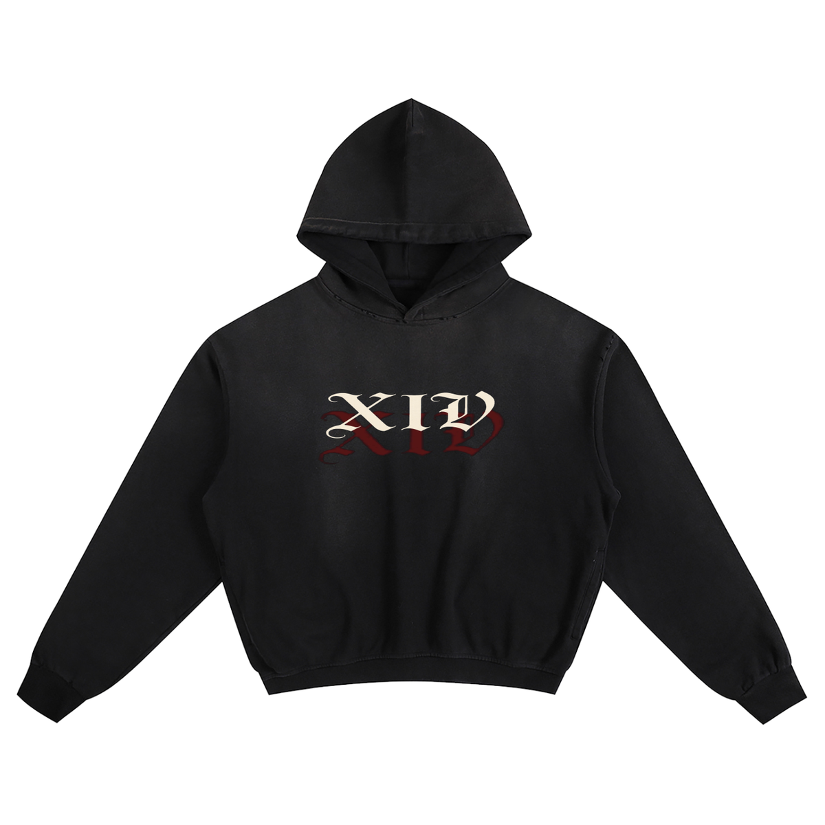 Xiv 1:1 hoodie